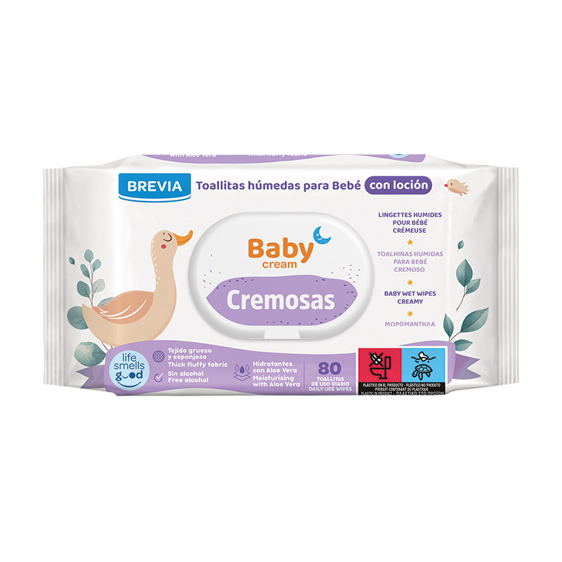 Los tejidos húmedos, Recipiente de plástico las toallitas húmedas, Caja  Toallitas (BW-014) - China Los tejidos húmedos y toallitas de bebé precio